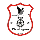 苏阿火烈鸟 苏阿火烈鸟