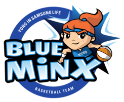 龙仁三星女篮 龙仁三星女篮